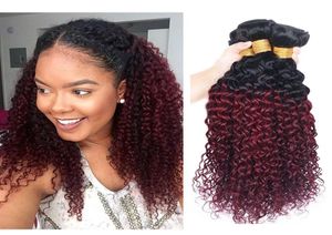 Kinky Curly Human Hair Bundles Ombre 1B99J Włosy przedłużenie Brazylijskie dziewicze dwa ton 1B99J ciemnoczerwony Remy Weves 1026 cali 2829949