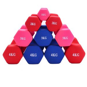 Lifting 1kg A pair of female dipping hexagonal dumbbells home aerobics yoga weight loss fitness equipment (2 pcs )