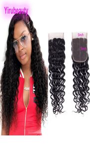 Brazilian Virgin Hair 5X5 Lace Closure Deep Wave Five By Five Middle Three Part Curly 1026inch8907020