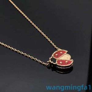 2024 Designer vans Four-leaf Clover Ladybug Necklace Electroplated 18k Rose Gold Red Jade Medal Four Leaf Grass Chain Female