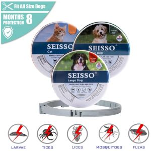 Collari Collari antipulci e zecche per cani, Collare regolabile con protezione per animali domestici da 8 mesi per cani di taglia grande Cuccioli di gatto, Accessori per cani