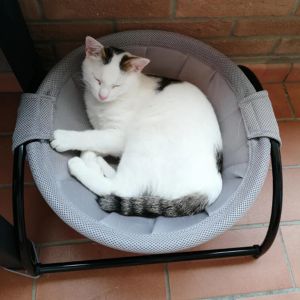 Mats Pet Cat Hanging Bed House Round Soft Cat Hammock Luxury Cozy Rocking Chair Detachable Metal Iron Frame Cat Bed