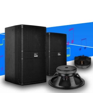 Alto-falantes 300W 10 polegadas Alto-falante 8 Ohm Stage Engineering Alto-falante de alta potência Áudio ao ar livre Barra profissional Full Range Floor Standing Speaker