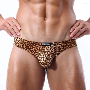 Mutande Custodia per pene grande Rigonfiamento Biancheria intima da uomo sexy Slip Bikini leopardato Costumi da bagno Mutandine in nylon Vita bassa erotica XXL Cockcon