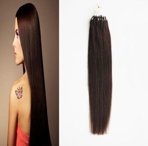Obearbetad jungfru brasiliansk rak hårmikro slinga ring hårförlängningar 100 g mikro länk hårförlängningar mänsklig2833843