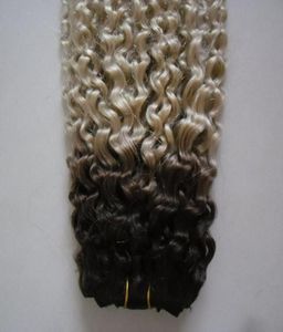 Kinky encaracolado tecer pacotes de cabelo 100 pacotes de cabelo humano 1pc natural não remy ombre onda encaracolado cabelo virgem encaracolado weave39919913007205