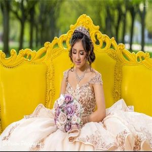 Parti Elbiseleri Mulong 15 Quinceanera Elbise Zarif v Boyun Aplike Dantel Sleeless A Hattos Vestidos de Anos Akşam