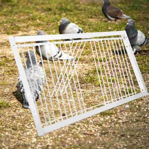 Nests Door For Bird Entrance Wire Traps Racing Pigeon Bird House Cage Iron Puppy Supplies Racing Pigeon Traps Door Entrance House Door