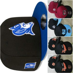 2024 All Team Fan's USA College Baseball Regolabile Alabama Crimson Blue Devils Cappello sul campo Mix Ordine Taglia Chiuso Flat Bill Base Ball Snapback Caps Bone Chapeau a5