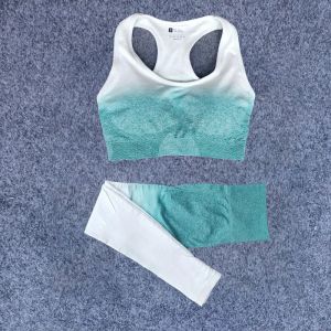 Odzież 2PC/zestaw Ombre Yoga