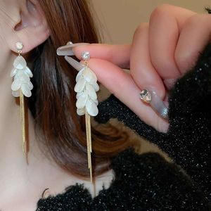 Nål zirkonpärlvatten droppe tofassljus design kronblad örhängen extraordinär stil mångsidig örhängen för kvinnor