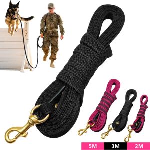 Leashes Long Dog Leash Nylon Nonslip Dog Tracking Lead Leash For Medium Large Dogs Walking Training 2M 3M 5M