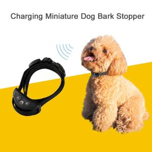 Halsar Paipaitek Dog Training Collar Vibration Antibarking Collar Laddningsbar hundtränare DIVET