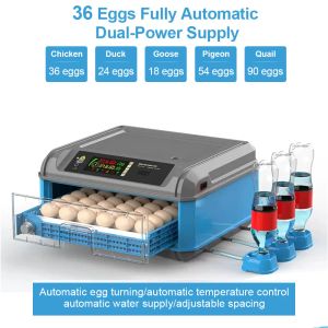 Aksesuarlar Tam Otomatik Dijital Yumurta İnkübatör, 36 Yumurta İnkübatör, Ev Brooder Çiftliği Tavuk ve Kuş