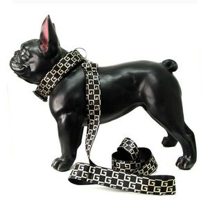 Hundhalsar Leases Fashion Märke Designer Tryck hundhalsar Leases Outdoor Neck Rem Lead Leash Söta sele Sittbältesklippremmar 240302