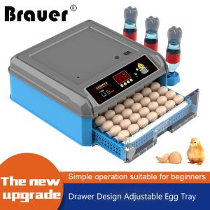 Accessori 36 Incubatrice per uova Incubatrice digitale completamente automatica Allevatrice per uso domestico Allevamento di polli Incubatrice per uccelli Uova Incubadora de huevos