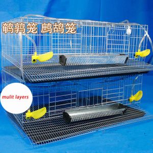 Tillbehör Stora specifikt Family Farm Quail Chick Birds Partridge Pigeon Parrot Egg Laying Cage House Breed Cage Factory Pris