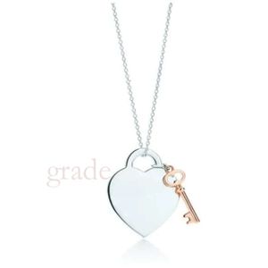 Designer Fashion Classic 925 Sterling Silver Necklace Double Heart Tiffancy Collana Tiffancy Collana per amante Donne Donne Fare di matrimonio gioielli di alta qualità Tiffanyco 703