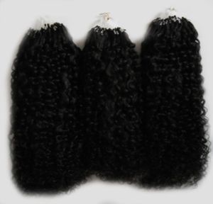 Naturlig färg afro kinky lockigt mikroslinge hårförlängningar 300g mongoliska kinky lockigt hår mikro länk hårförlängningar mänskliga 300s9692430