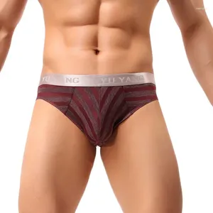 Mutande di alta qualità sexy biancheria intima gay slip da uomo a righe U sacchetto convesso vita bassa mutandine maschili Calzoncillos Cuecas