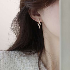 New Trendy Light Niche Earrings Elegant and High-end Style, Summer Earrings