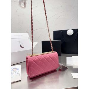 Luxury Womens Shoulder Bags 19 Handbag Designer Bag Chain Crossbody