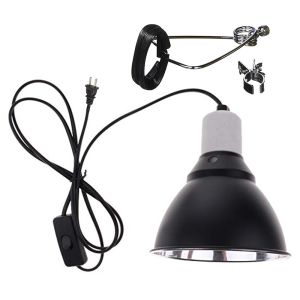 Oświetlenie UVA UVB PET Lampa grzejnika E27 Uchwyt do karmienia Pudełko Oświetlenie Oświetlenie Oświetlenie Oświetlenie żarówki dla gadu żółwia