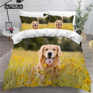 Conjunto Golden Retriever Duvet Capa Cama de cães de estimação Bedding com travesseiros de microfibra impressos 3D Animais para crianças meninos meninos puras cortinas