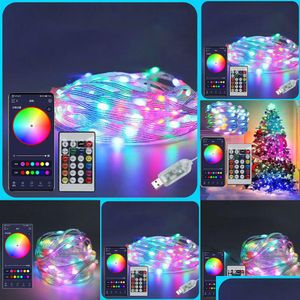 Aufbewahrungstaschen Neue Aufbewahrungstaschen LED-Lichterkette Traumfarbe Weihnachtsschnur mit Fernbedienung für Schlafzimmer Party Baum Drop Lieferung H Dhmr2