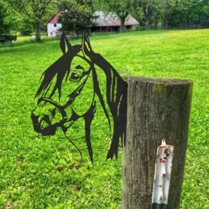 Film Farm Peeping Horse Metal Garden Statues Garden Decoration Outdoor Garden Backyard Lawn Stakes Metal Cowyard Decoration Gift