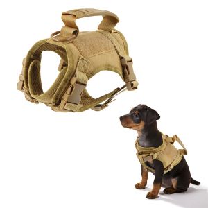 Leases Tactical Dog Vest Harness and Treh Walking Dog Leash Set Safety Training tillgängliga remmar Set för valpkitten husdjursmaterial
