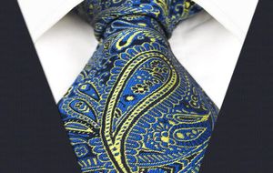 E13 Blue Yellow Paisley Silk Mens Necktie Wedding Classic Ties for male Classic Novelty Extra long size3504334