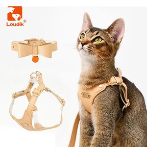 Loudik Luxury Custom Cat Harness Collar Leash Set Laser ID Name Plate Adjustable Soft Leather Small Pet Leads Walking Accessory 240229