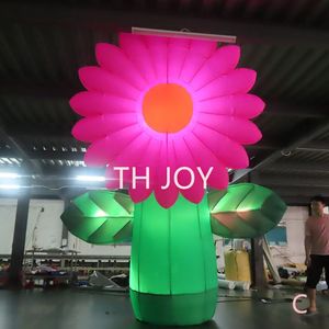 Attività all'aperto Decorazione del centro commerciale Modelli colorati giganti gonfiabili di piante di girasole con luce per la pubblicità