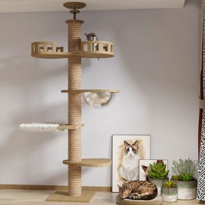 Scratchers Cat Tree från golv till tak Träkatttorn Condo och Sisal Rope Cat Scratching Posts Pet Cats House Kitten Toy Mysig hängmatta