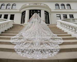 Säljer kapelllängd brudslöjor med applikationer i lager långa bröllopslöjor 2019 Vestido de Noiva Longo Wedding Veil V1402046529