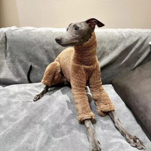 ジャケット冬の犬の服ハイカラー両面フリースフリース温かいグレイハウンド/ホイペット/小型および中程度のドッグコート