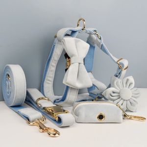 Il set di collare e guinzaglio per cani in velluto azzurro per cani Targhetta con incisione personalizzata Forniture per animali Velvet35 240226