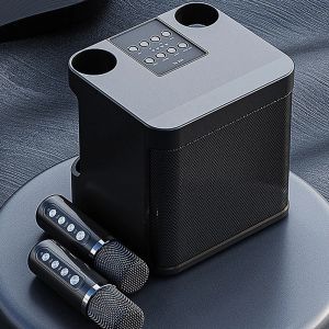 Speakers Bluetooth Home Mini Karaoke Machine with 2 Wireless Microphones Portable Stereo Speaker KTV for Outdoor Party Camping