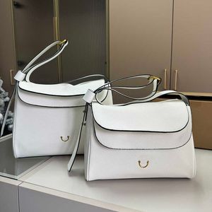 Lüks çantalar çanta tasarımcısı messenger çanta erkek kadın çanta geniş omuz askısı iş crossbody çanta moda çantaları 240304