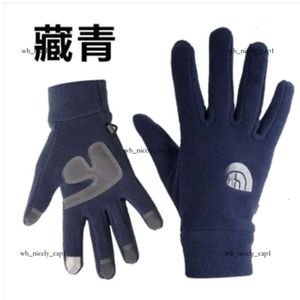 2024アメリカデザイナーThe Nort Face Men's Outdoor Gloves New Women Man Waterproof Riding Plus Velvet Thermal Fitness Outdoor