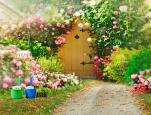 春の花の庭の背景結婚式のロマンチックなピンクのバラ緑色の植物屋外風景の花の背景Pography5615481