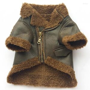 Abbigliamento per cani Cappotto invernale Giacca Vestiti caldi Vestito Cucciolo Costume Pomerania Barboncino Bichon Schnauzer Abbigliamento per animali domestici Dropship