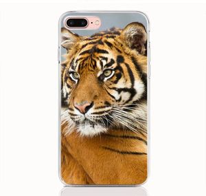 Für LG Stylo 5 4 3 V40 V30 V20 Mini G7 G6 G5 G6 Mini Q6 Q7 Q8 K7 ThinQ fall Weiche TPU Druck muster Tier Tiger Hohe qualität phone2280646