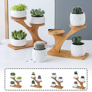 Other Garden Buildings Plant Shelves Flower Display Stand Creative Succulent Plant Owl Pumpkin Bamboo Frame Ceramic Flowerpot Plant Tray YQ240304