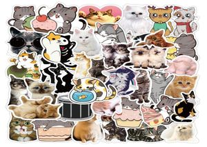 50 PZ Kawaii Cute Cat Adesivi per auto per bambini Valigia Cancelleria Frigo Bottiglia d'acqua Chitarra Laptop Bagagli Decal7889015