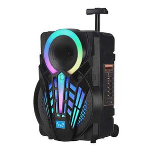 Altoparlanti portatili Altoparlante Bluetooth da 12 pollici Colonna esterna alta Microfono senza fili Controllo remoto Fm TF USB Boom Box R230227 2434