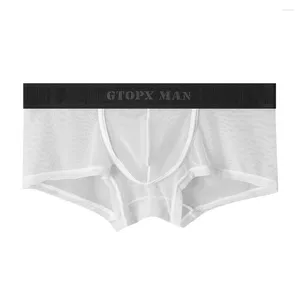 Cuecas sexy homens troncos briefs malha transparente bolsa boxer bikini roupa interior macio respirável sem costura transparente homme deslizamentos