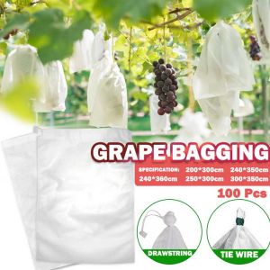 Kits 100pcs Grapes Bags Net for Vegetable Grapes Fruit Protection Grow Bag From Os Mesh Against Insect Pest Controlbird Home Garden