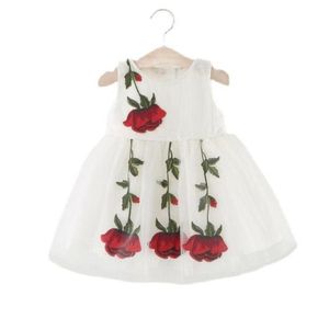 Girl039s Abiti 04 anni Neonate Abito in pizzo Bambino Bambini Fiore rosa Principessa Tutu Party Estate Vestito estivo bianco Childre4134019